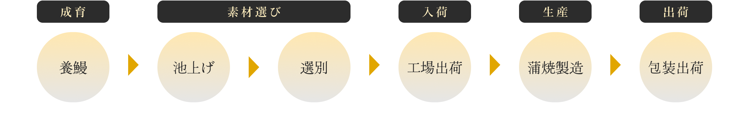 鰻楽の養鰻から出荷までの流れの図