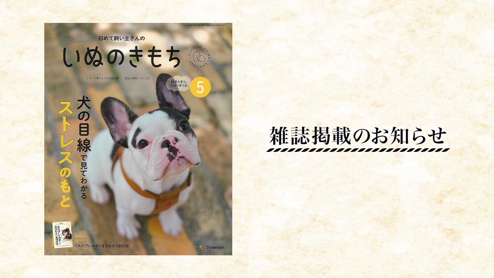 雑誌掲載のお知らせ】愛犬用おやつ「うなまる」が『いぬのきもち』2026